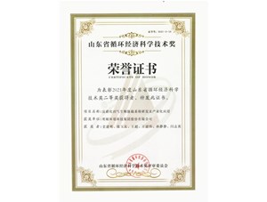 热烈：亟鹕砵s9线路中心环境集团获得2021年度山东省循环经济科学技术奖二等奖
